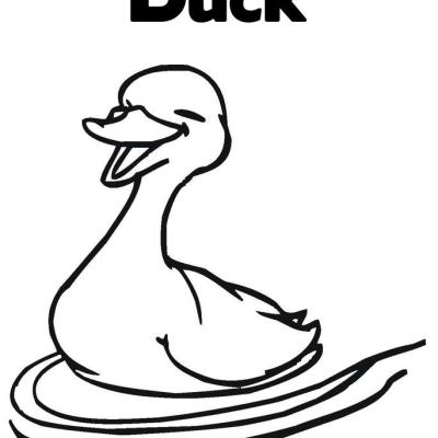 Ourcoloringpage Ducks 47