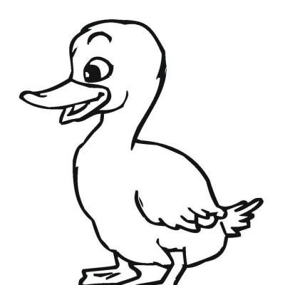 Ourcoloringpage Ducks 48