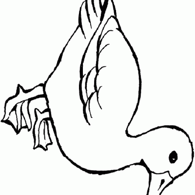 Ourcoloringpage Ducks 50