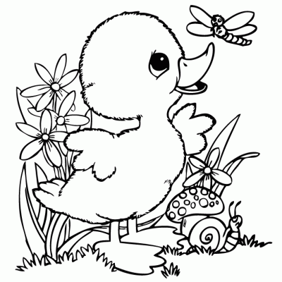 Ourcoloringpage Ducks 7
