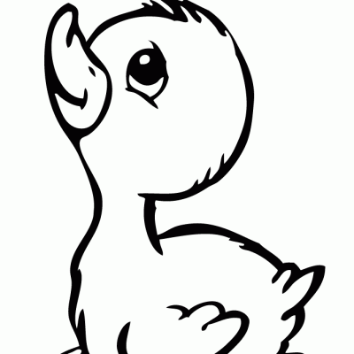 Ourcoloringpage Ducks 8