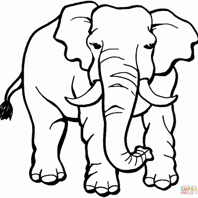 Ourcoloringpage Elephants 13
