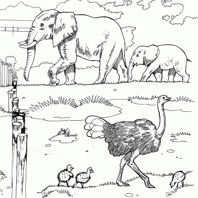 Ourcoloringpage Elephants 22