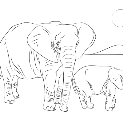 Ourcoloringpage Elephants 27