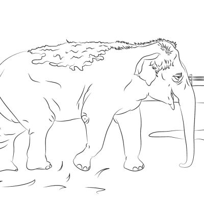 Ourcoloringpage Elephants 36