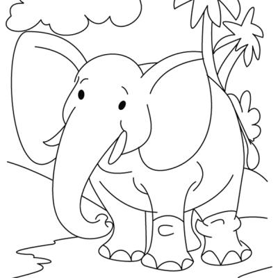 Ourcoloringpage Elephants 37