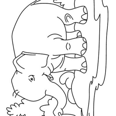 Ourcoloringpage Elephants 42