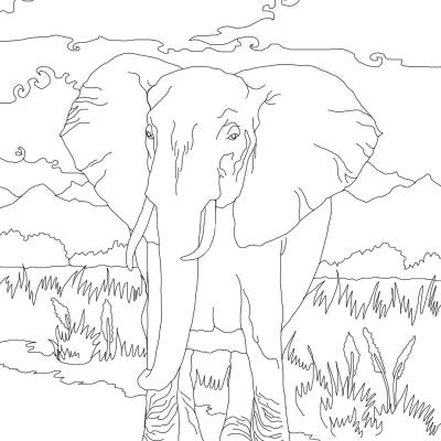 Ourcoloringpage Elephants 44