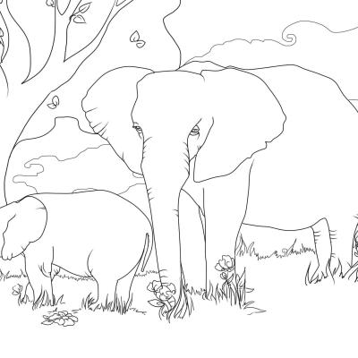 Ourcoloringpage Elephants 46