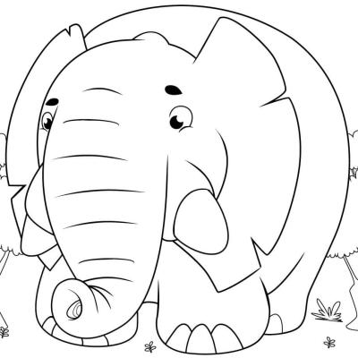 Ourcoloringpage Elephants 53