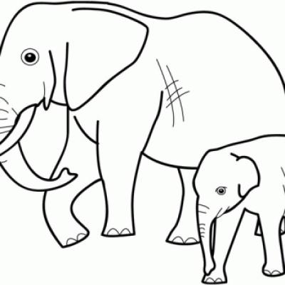 Ourcoloringpage Elephants 54