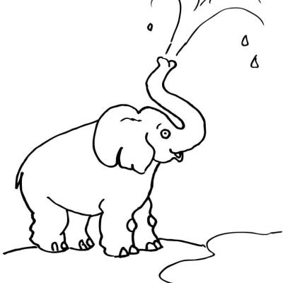 Ourcoloringpage Elephants 55