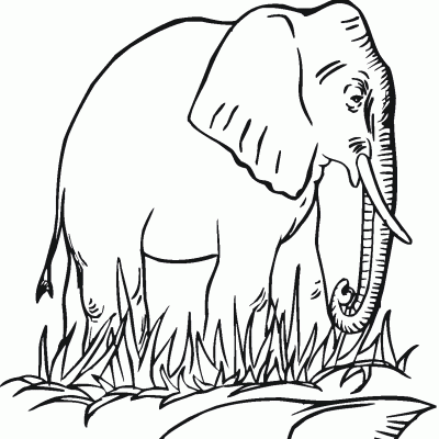 Ourcoloringpage Elephants 61