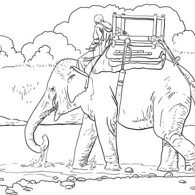 Ourcoloringpage Elephants 62