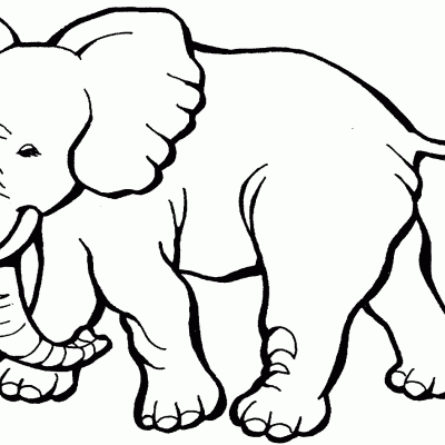 Ourcoloringpage Elephants 7