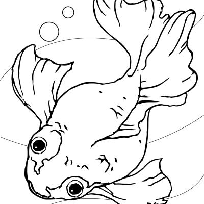 Ourcoloringpage Fish 10