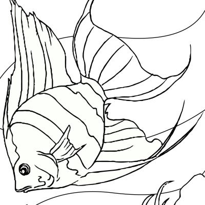 Ourcoloringpage Fish 13