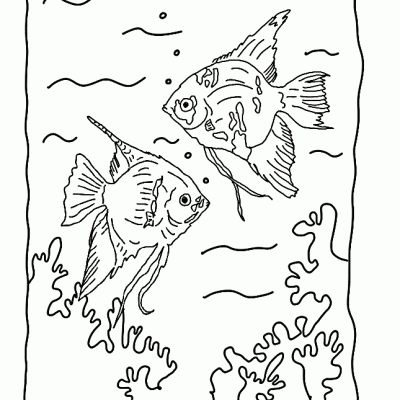 Ourcoloringpage Fish 14