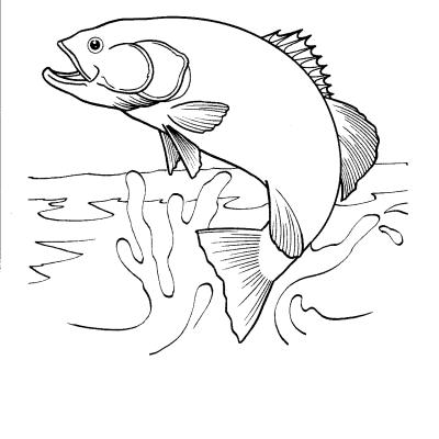 Ourcoloringpage Fish 21