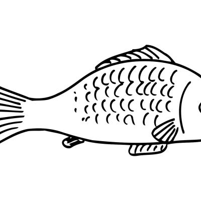 Ourcoloringpage Fish 25