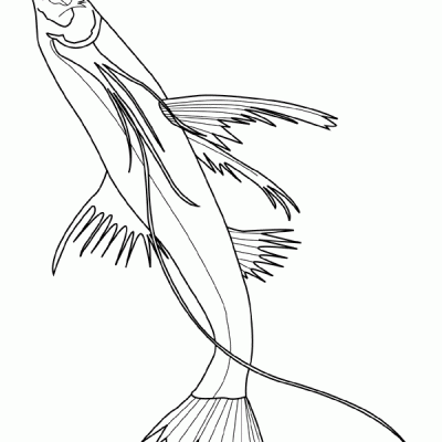 Ourcoloringpage Fish 27