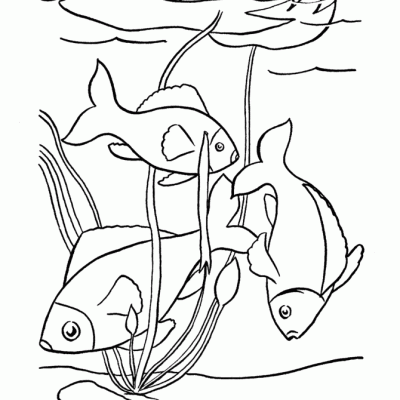Ourcoloringpage Fish 28