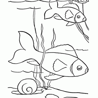 Ourcoloringpage Fish 33