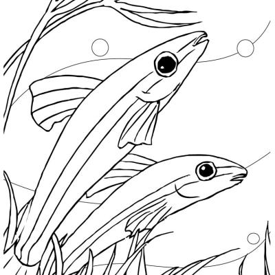 Ourcoloringpage Fish 37