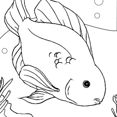 Ourcoloringpage Fish 38