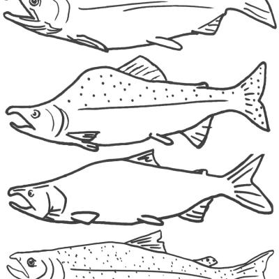 Ourcoloringpage Fish 39