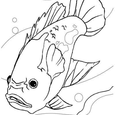 Ourcoloringpage Fish 40