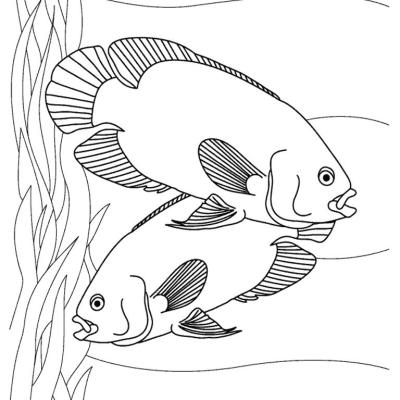 Ourcoloringpage Fish 44