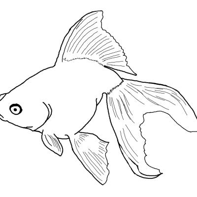 Ourcoloringpage Fish 46
