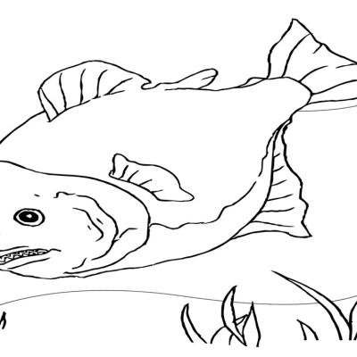 Ourcoloringpage Fish 55