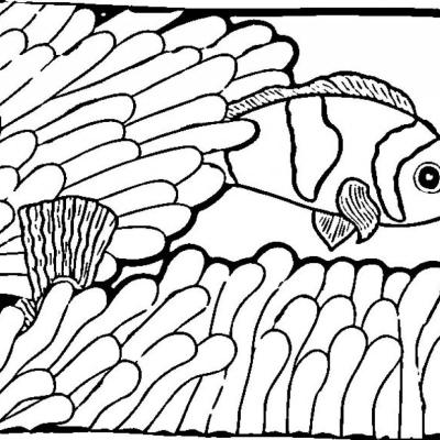 Ourcoloringpage Fish 7
