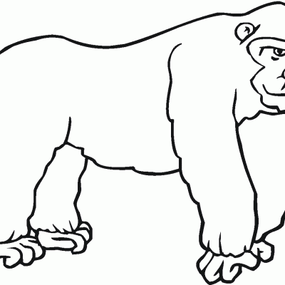 Ourcoloringpage Gorillas 11