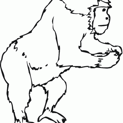 Ourcoloringpage Gorillas 12