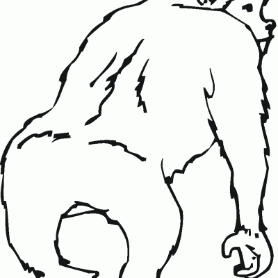 Ourcoloringpage Gorillas 13