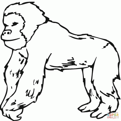 Ourcoloringpage Gorillas 14