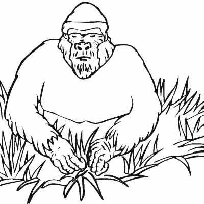 Ourcoloringpage Gorillas 19