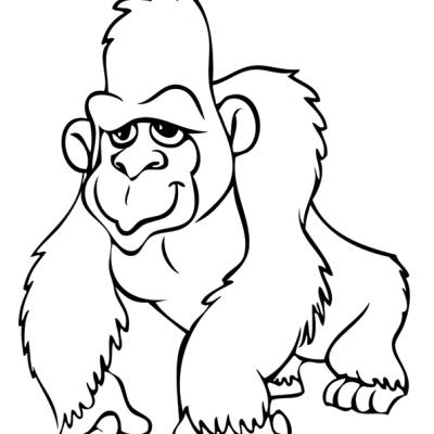 Ourcoloringpage Gorillas 23