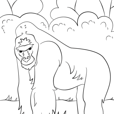 Ourcoloringpage Gorillas 24