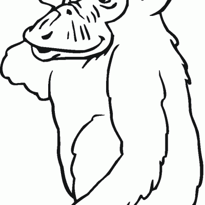 Ourcoloringpage Gorillas 2