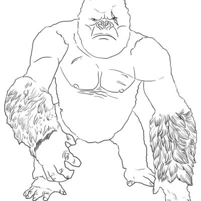 Ourcoloringpage Gorillas 32