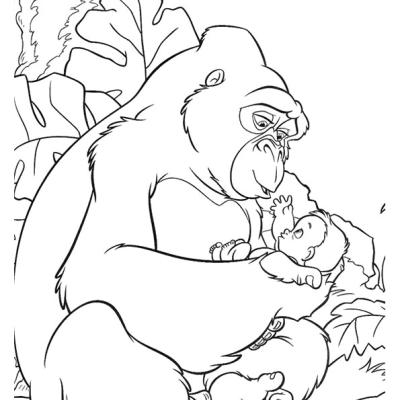 Ourcoloringpage Gorillas 34