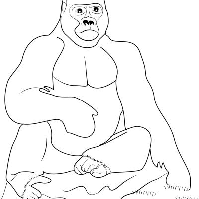 Ourcoloringpage Gorillas 35