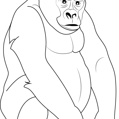 Ourcoloringpage Gorillas 39