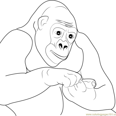 Ourcoloringpage Gorillas 41