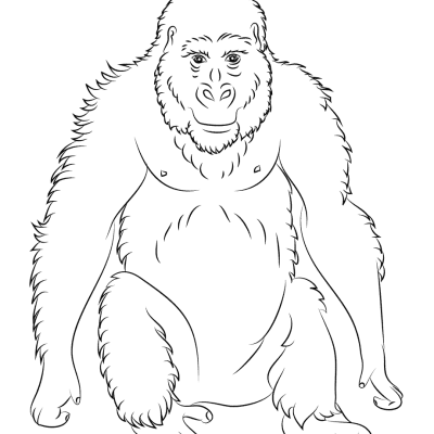 Ourcoloringpage Gorillas 44