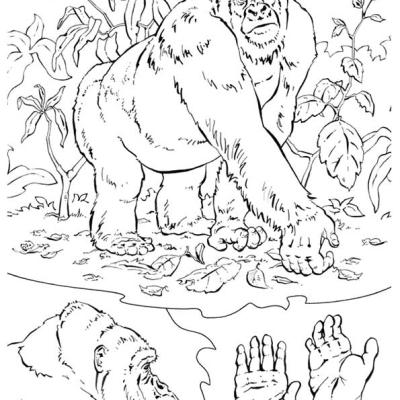 Ourcoloringpage Gorillas 6